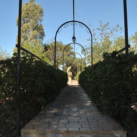 B&B Ginevra Pulsano Exterior photo